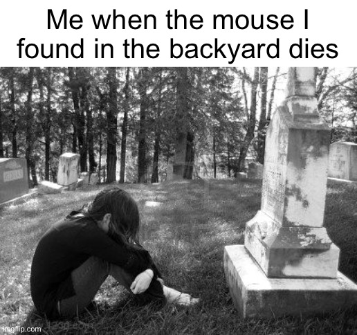 Here lies Squeaks. 2023 - 2023. R.I.P (#980) | Me when the mouse I found in the backyard dies | image tagged in mouse,sad,death,grave,tombstone,r i p | made w/ Imgflip meme maker