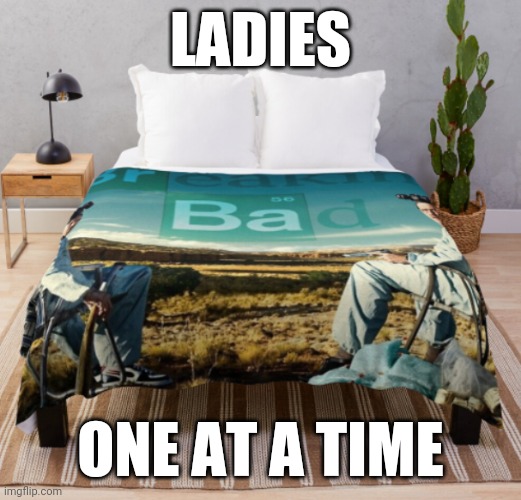 Breaking bad bed | LADIES; ONE AT A TIME | image tagged in breaking bad bed | made w/ Imgflip meme maker