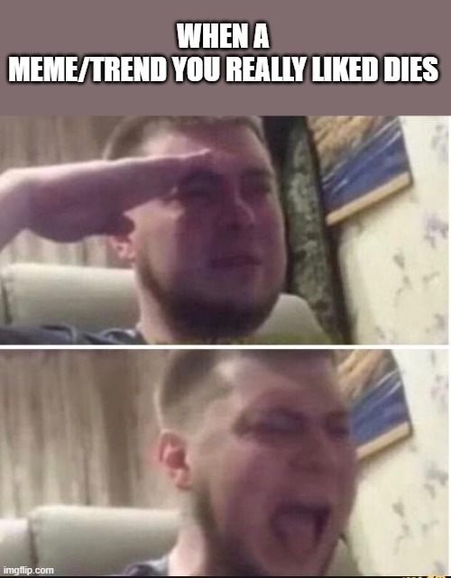 sad :( | WHEN A MEME/TREND YOU REALLY LIKED DIES | image tagged in crying salute,why | made w/ Imgflip meme maker