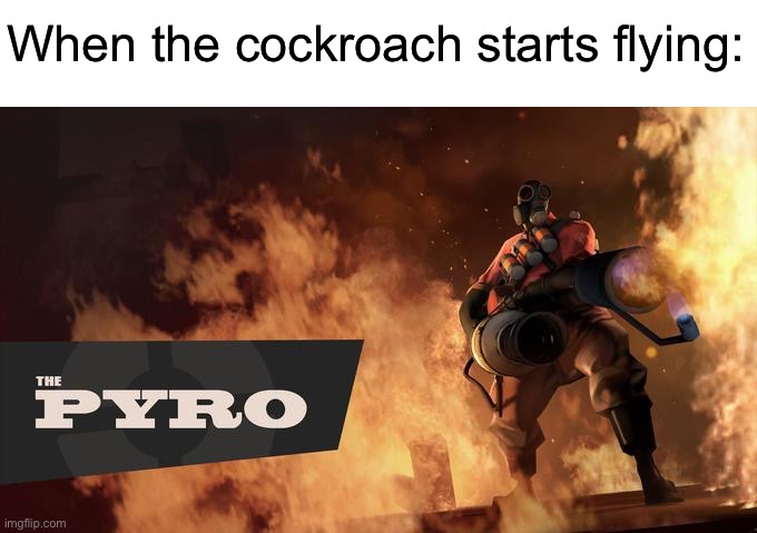 Kill it with fire! | When the cockroach starts flying: | image tagged in the pyro - tf2,memes,funny | made w/ Imgflip meme maker
