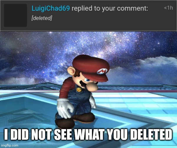 I DID NOT SEE WHAT YOU DELETED | image tagged in sad mario | made w/ Imgflip meme maker