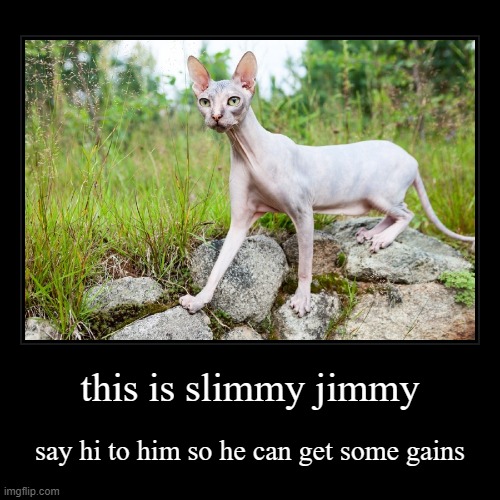 this is slimmy jimmy | say hi to him so he can get some gains | image tagged in funny,demotivationals | made w/ Imgflip demotivational maker