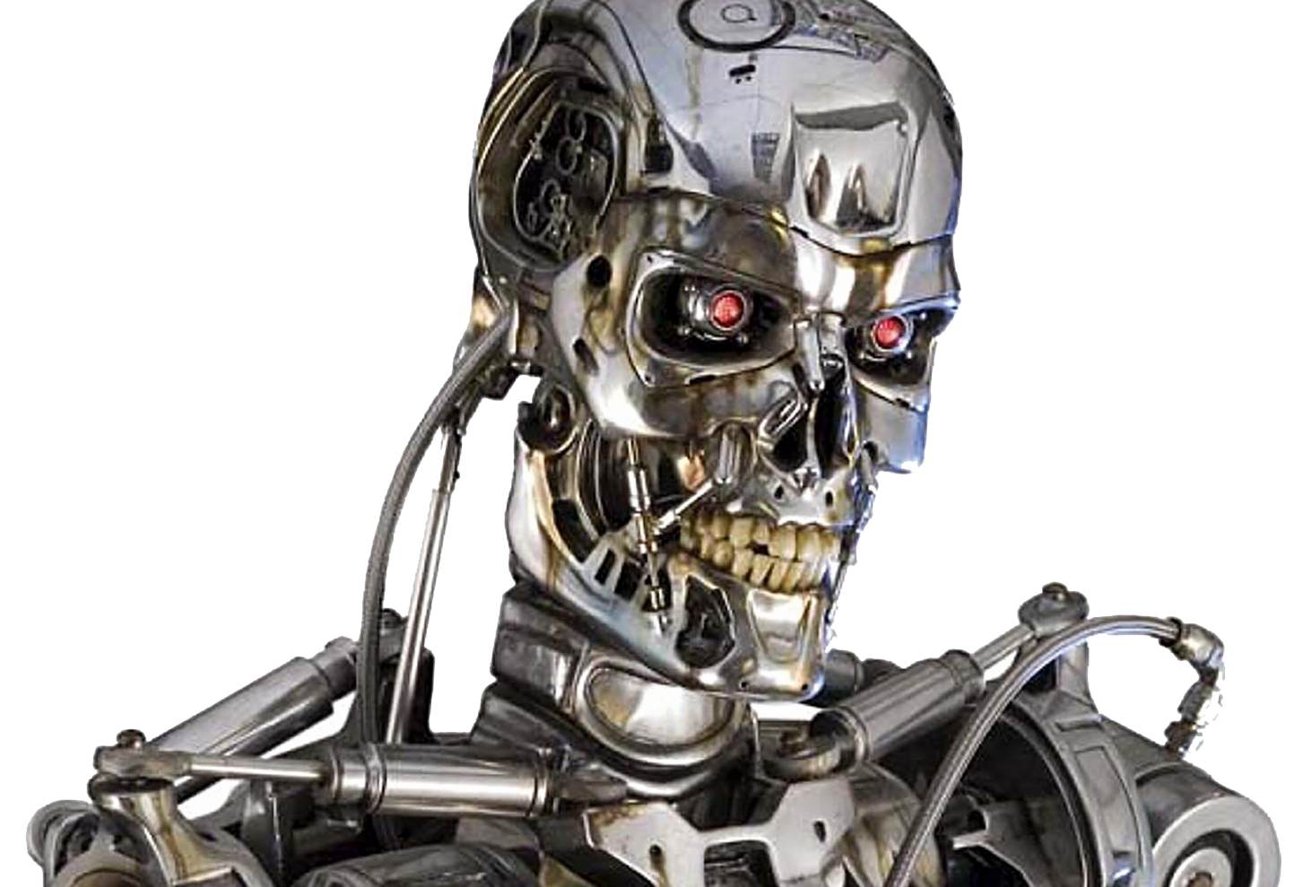 High Quality Terminator Skull 2 transparency Blank Meme Template
