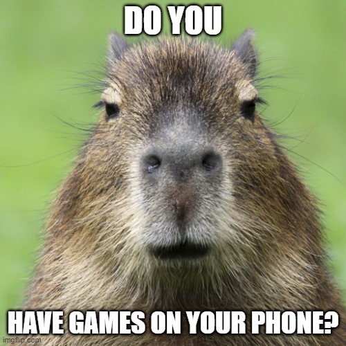 bruh | DO YOU; HAVE GAMES ON YOUR PHONE? | image tagged in bruh | made w/ Imgflip meme maker