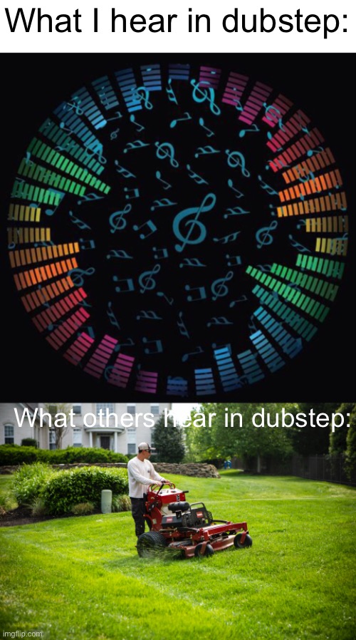 Meme #981 | What I hear in dubstep:; What others hear in dubstep: | image tagged in dubstep,music,music meme,lawnmower,sad,songs | made w/ Imgflip meme maker