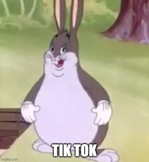 Big Chungus | TIK TOK | image tagged in big chungus | made w/ Imgflip meme maker