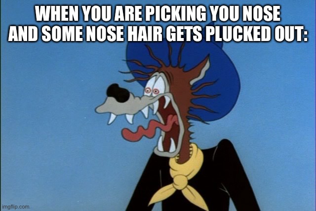 ouch | WHEN YOU ARE PICKING YOU NOSE AND SOME NOSE HAIR GETS PLUCKED OUT: | image tagged in ouch | made w/ Imgflip meme maker