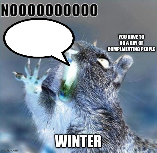 noooooooooooooooooooooooo | YOU HAVE TO DO A DAY OF COMPLMENTING PEOPLE WINTER | image tagged in noooooooooooooooooooooooo | made w/ Imgflip meme maker