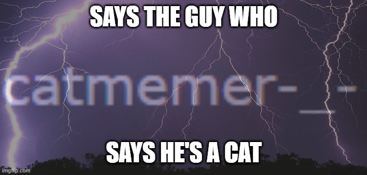 SAYS THE GUY WHO; SAYS HE'S A CAT | made w/ Imgflip meme maker