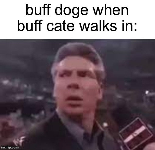 doge vs cate - buff doge vs buff cate | buff doge when buff cate walks in: | image tagged in x when x walks in | made w/ Imgflip meme maker