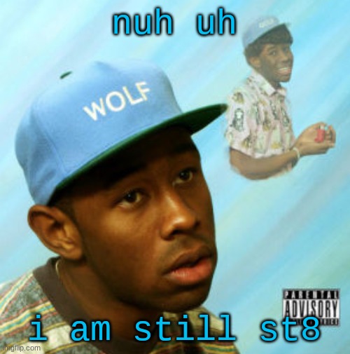 Wolf | nuh uh i am still st8 | image tagged in wolf | made w/ Imgflip meme maker