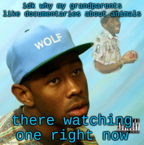 Wolf | idk why my grandparents like documentaries about animals; there watching one right now | image tagged in wolf | made w/ Imgflip meme maker