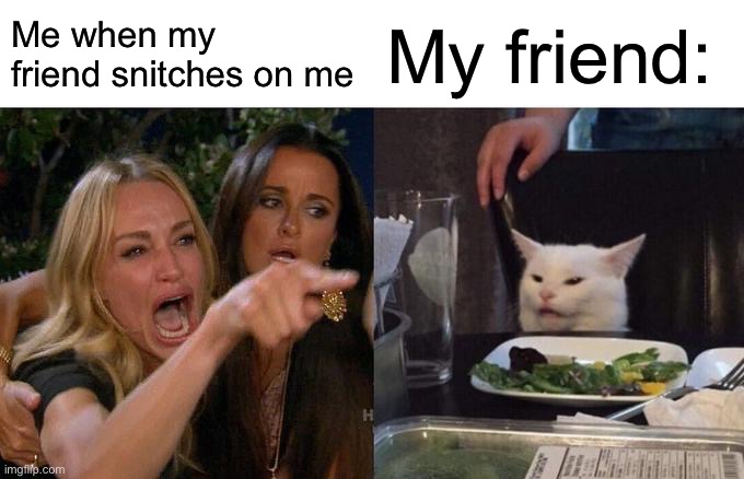 Woman Yelling At Cat | Me when my friend snitches on me; My friend: | image tagged in memes,woman yelling at cat | made w/ Imgflip meme maker