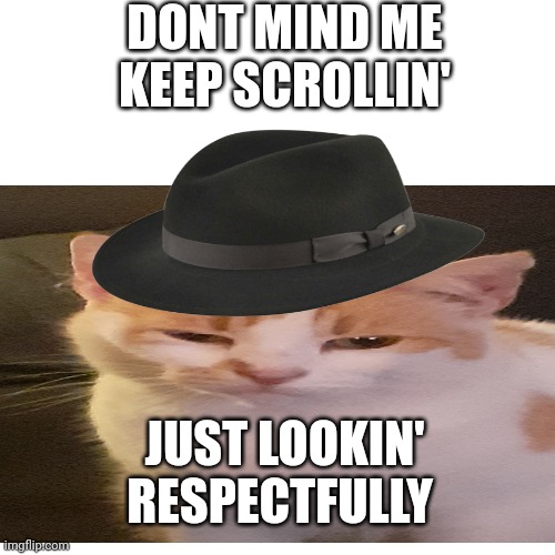 Dont mind that fella | DONT MIND ME
KEEP SCROLLIN'; JUST LOOKIN' RESPECTFULLY | image tagged in cats,fedora,funny cats | made w/ Imgflip meme maker