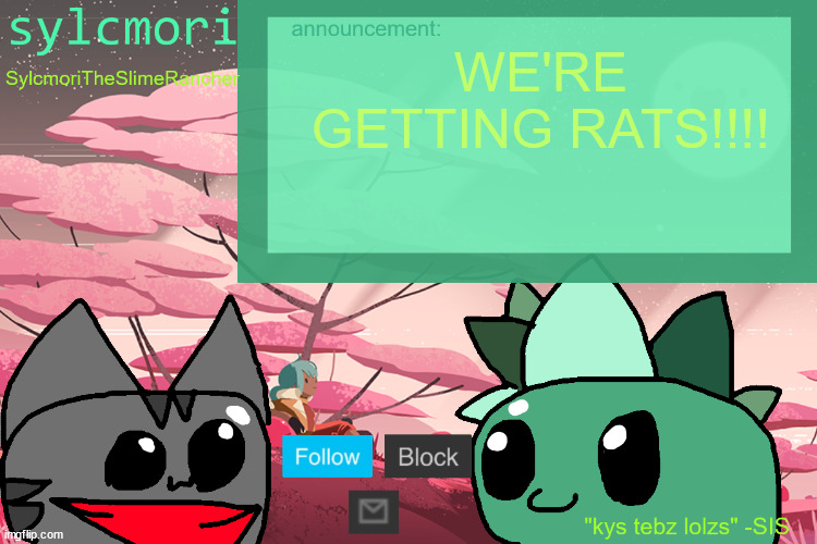 naming them gustavo and brick even tho they female | WE'RE GETTING RATS!!!! | image tagged in tebz should die tbhh | made w/ Imgflip meme maker