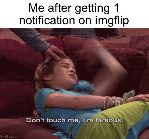Probably the most famous on earth. | Me after getting 1 notification on imgflip | image tagged in don't touch me i'm famous | made w/ Imgflip meme maker