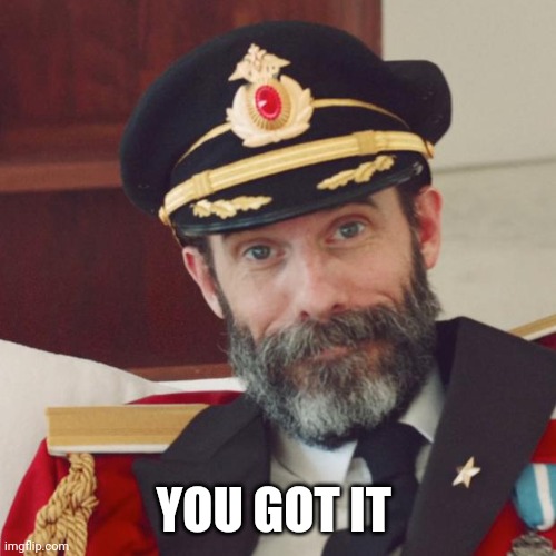 Captain Obvious | YOU GOT IT | image tagged in captain obvious | made w/ Imgflip meme maker