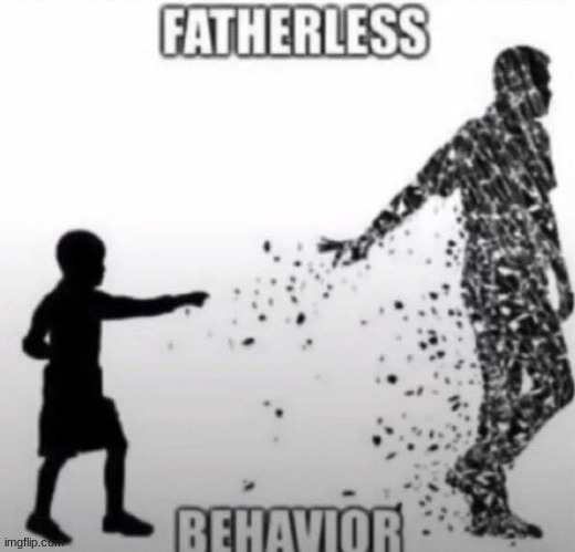 image tagged in fatherless behavior | made w/ Imgflip meme maker