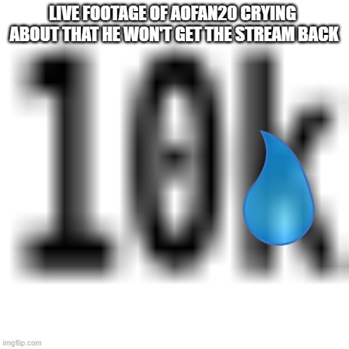 Used in comment | LIVE FOOTAGE OF AOFAN20 CRYING  ABOUT THAT HE WON'T GET THE STREAM BACK | image tagged in 10k imgflip icon | made w/ Imgflip meme maker
