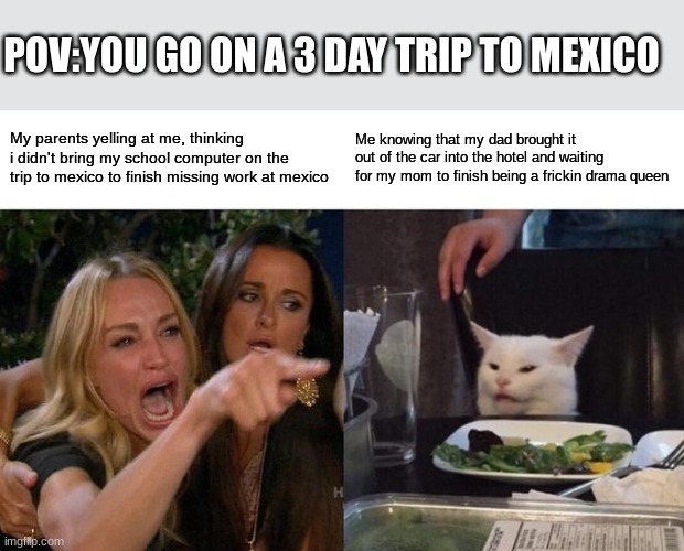 True story that definitly doesn't take place in mexico | POV:YOU GO ON A 3 DAY TRIP TO MEXICO; My parents yelling at me, thinking i didn't bring my school computer on the trip to mexico to finish missing work at mexico; Me knowing that my dad brought it out of the car into the hotel and waiting for my mom to finish being a frickin drama queen | image tagged in memes,woman yelling at cat | made w/ Imgflip meme maker