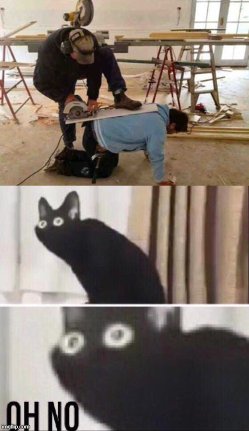 OH NO | image tagged in oh no cat | made w/ Imgflip meme maker
