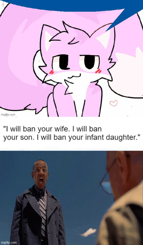 image tagged in i will ban your wife | made w/ Imgflip meme maker