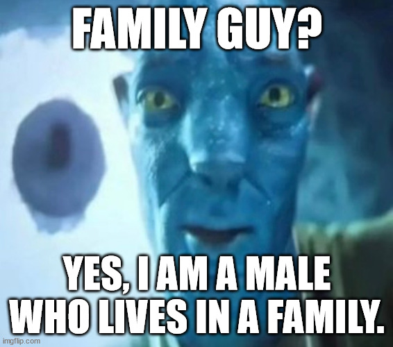 Avatar guy | FAMILY GUY? YES, I AM A MALE WHO LIVES IN A FAMILY. | image tagged in avatar guy | made w/ Imgflip meme maker