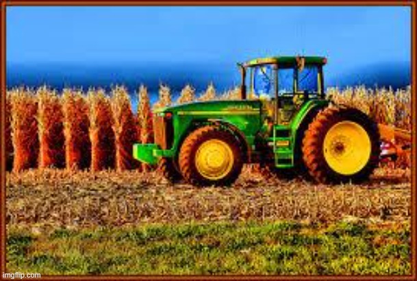 Tractor in Corn field | image tagged in tractor in corn field | made w/ Imgflip meme maker