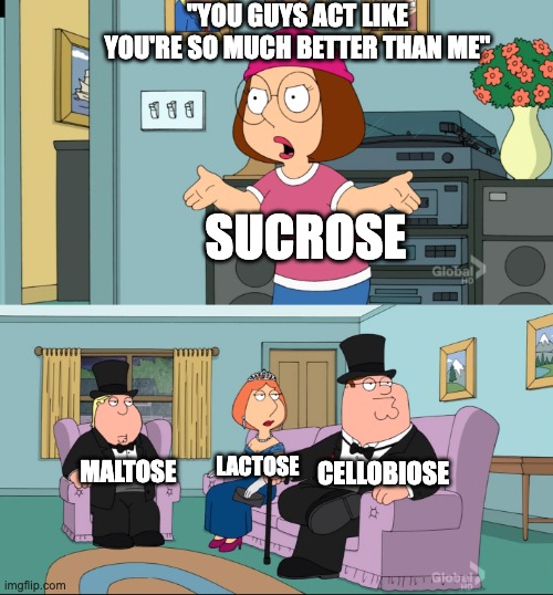 reducing sugars biochemistry | "YOU GUYS ACT LIKE YOU'RE SO MUCH BETTER THAN ME"; SUCROSE; MALTOSE; CELLOBIOSE; LACTOSE | image tagged in meg family guy better than me | made w/ Imgflip meme maker