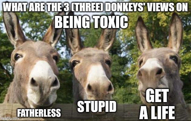 Don't Be Toxic | BEING TOXIC; GET A LIFE; FATHERLESS; STUPID | image tagged in what are the 3 three donkeys' views on x | made w/ Imgflip meme maker
