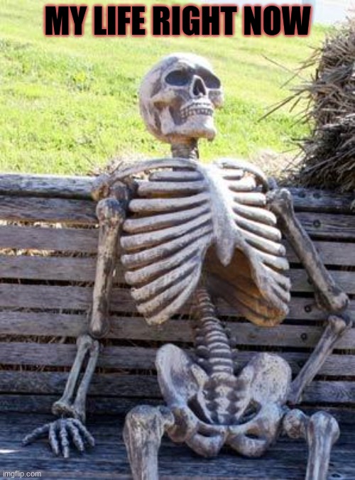 Waiting Skeleton | MY LIFE RIGHT NOW | image tagged in memes,waiting skeleton | made w/ Imgflip meme maker