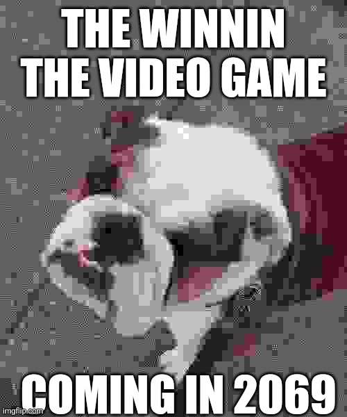 The winnin game | THE WINNIN THE VIDEO GAME; COMING IN 2069 | image tagged in the winnin | made w/ Imgflip meme maker
