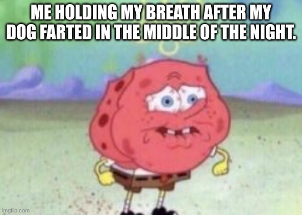 HOLD IT! | ME HOLDING MY BREATH AFTER MY DOG FARTED IN THE MIDDLE OF THE NIGHT. | image tagged in memes,funny,funny memes,dogs,farts,rip | made w/ Imgflip meme maker