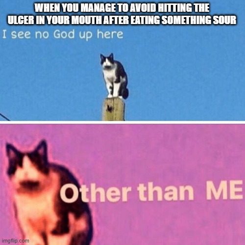 sour things | WHEN YOU MANAGE TO AVOID HITTING THE ULCER IN YOUR MOUTH AFTER EATING SOMETHING SOUR | image tagged in hail pole cat,memes | made w/ Imgflip meme maker