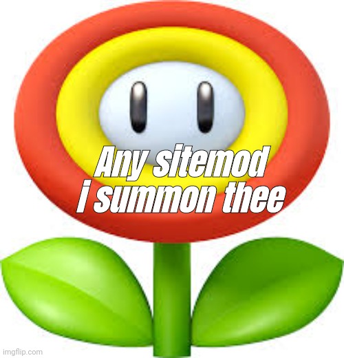 FireFlower | Any sitemod i summon thee | image tagged in fireflower | made w/ Imgflip meme maker