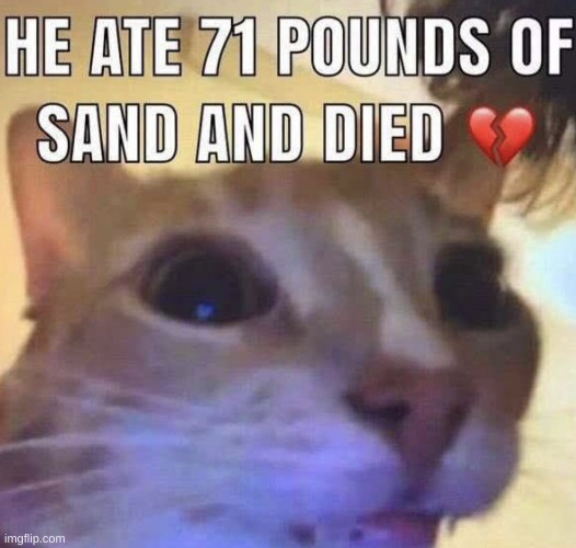 He ate 71 pounds of sand and died | image tagged in he ate 71 pounds of sand and died | made w/ Imgflip meme maker