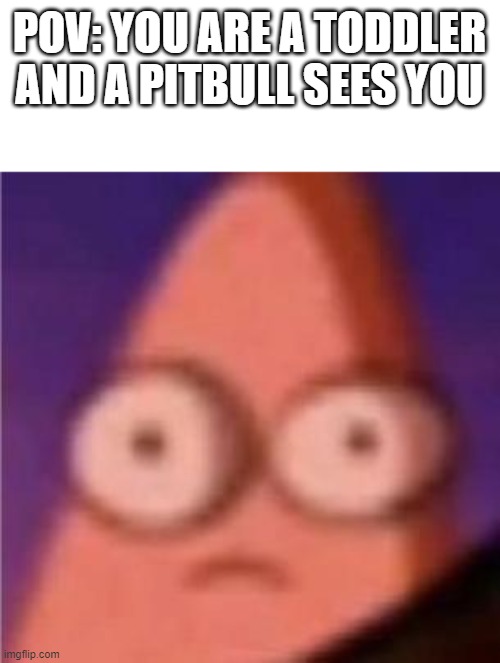 shit | POV: YOU ARE A TODDLER AND A PITBULL SEES YOU | image tagged in eyes wide patrick | made w/ Imgflip meme maker