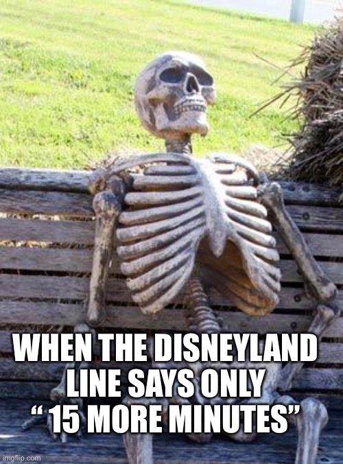 Waiting Skeleton | WHEN THE DISNEYLAND LINE SAYS ONLY “ 15 MORE MINUTES” | image tagged in memes,waiting skeleton,ill just wait here | made w/ Imgflip meme maker