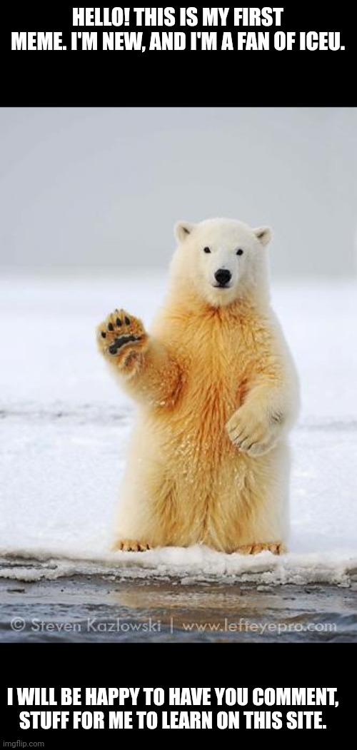 dancing polar bear meme