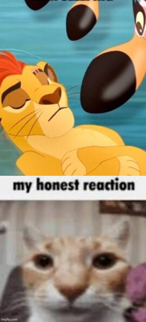 image tagged in kion sleeping for no reason,my honest reaction | made w/ Imgflip meme maker