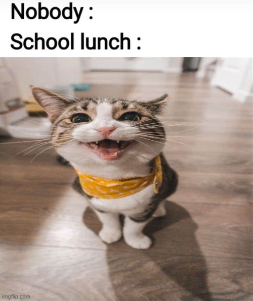 oh (real) | image tagged in oh no,cats,cat food | made w/ Imgflip meme maker