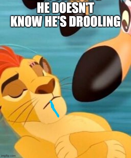 Kion sleeping for no reason | HE DOESN'T KNOW HE'S DROOLING | image tagged in kion sleeping for no reason | made w/ Imgflip meme maker