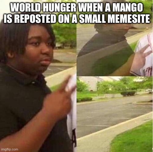 disappearing  | WORLD HUNGER WHEN A MANGO IS REPOSTED ON A SMALL MEMESITE | image tagged in disappearing | made w/ Imgflip meme maker