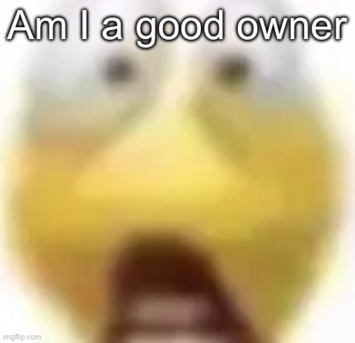 Shocked | Am I a good owner | image tagged in shocked | made w/ Imgflip meme maker