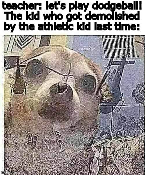 PTSD Chihuahua | teacher: let's play dodgeball!
The kid who got demolished by the athletic kid last time: | image tagged in ptsd chihuahua | made w/ Imgflip meme maker