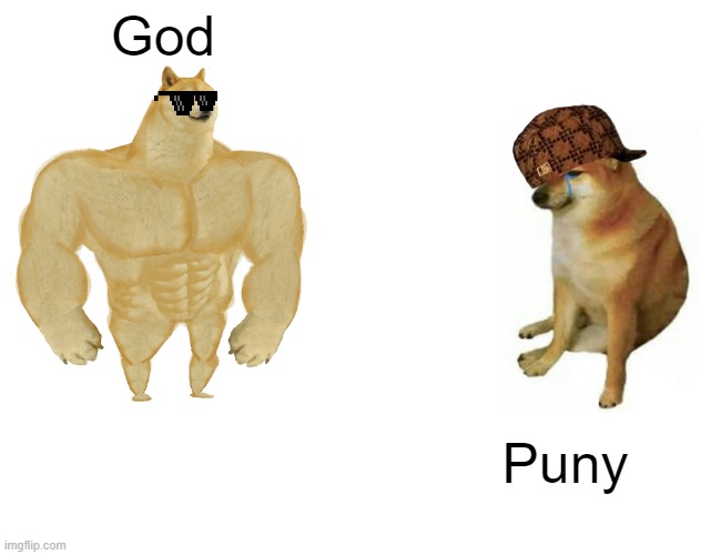 Buff Doge vs. Cheems | God; Puny | image tagged in memes,buff doge vs cheems | made w/ Imgflip meme maker