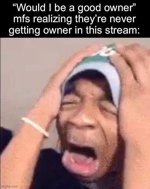 Flightreacts crying | “Would I be a good owner” mfs realizing they’re never getting owner in this stream: | image tagged in flightreacts crying | made w/ Imgflip meme maker