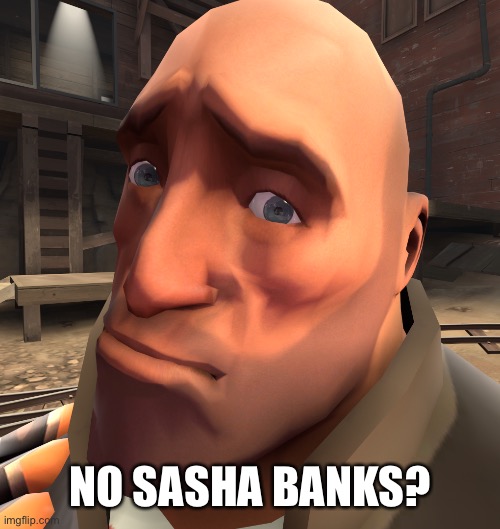 no anime? | NO SASHA BANKS? | image tagged in no anime | made w/ Imgflip meme maker