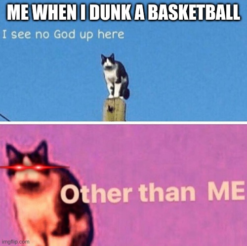 Hail pole cat | ME WHEN I DUNK A BASKETBALL | image tagged in hail pole cat | made w/ Imgflip meme maker