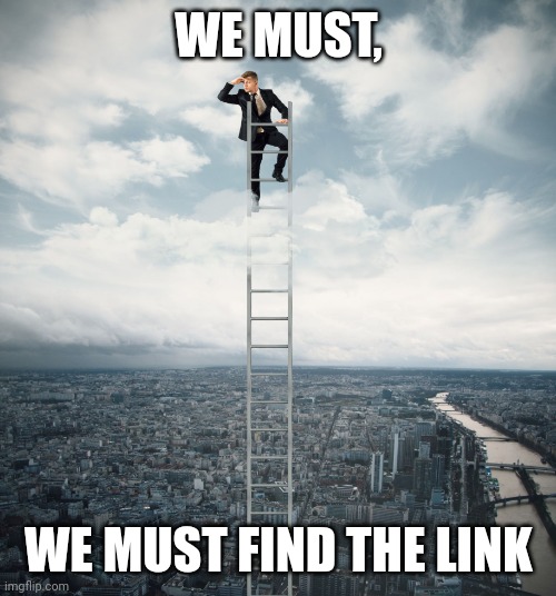 searching | WE MUST, WE MUST FIND THE LINK | image tagged in searching | made w/ Imgflip meme maker
